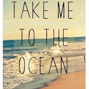 Meet your Posher, Sally